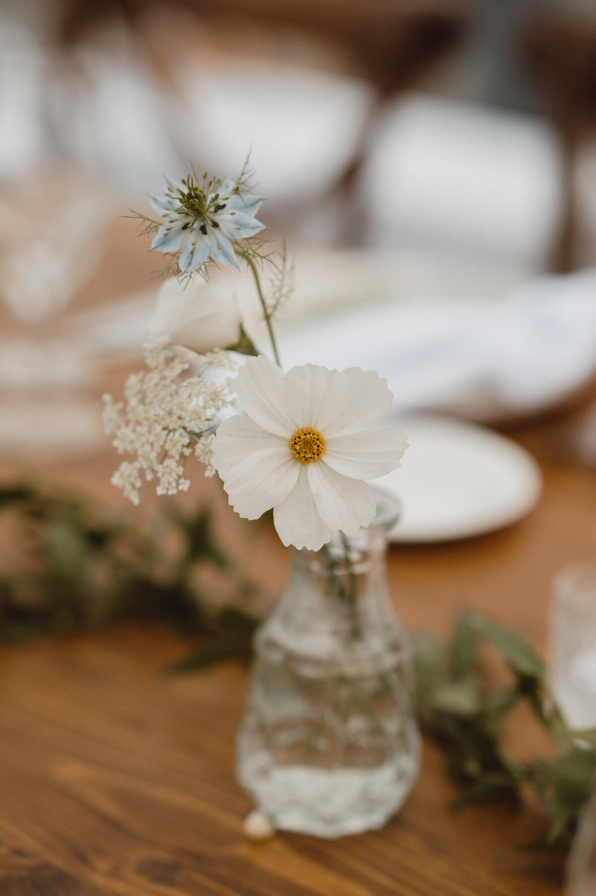 AllieJenningsPhoto-SaraRylendWedding-SNEAKPEEKS-219