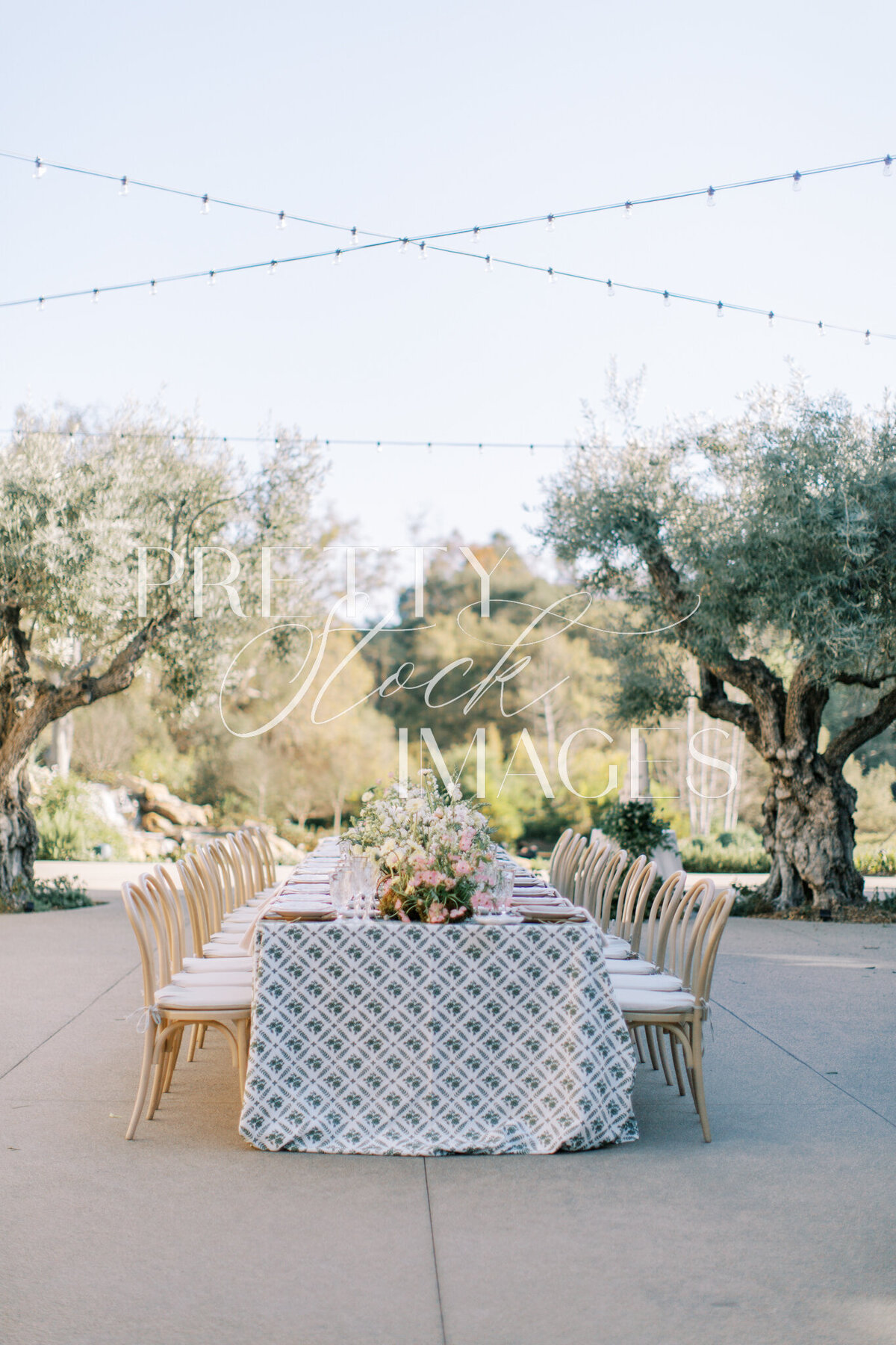 Pretty Stock Images - Winery Shoot-257