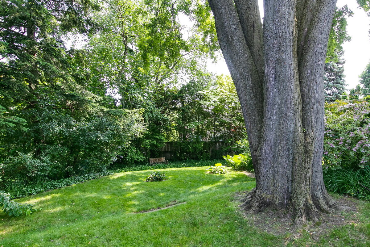 54-web-or-mls-74_004_Backyard