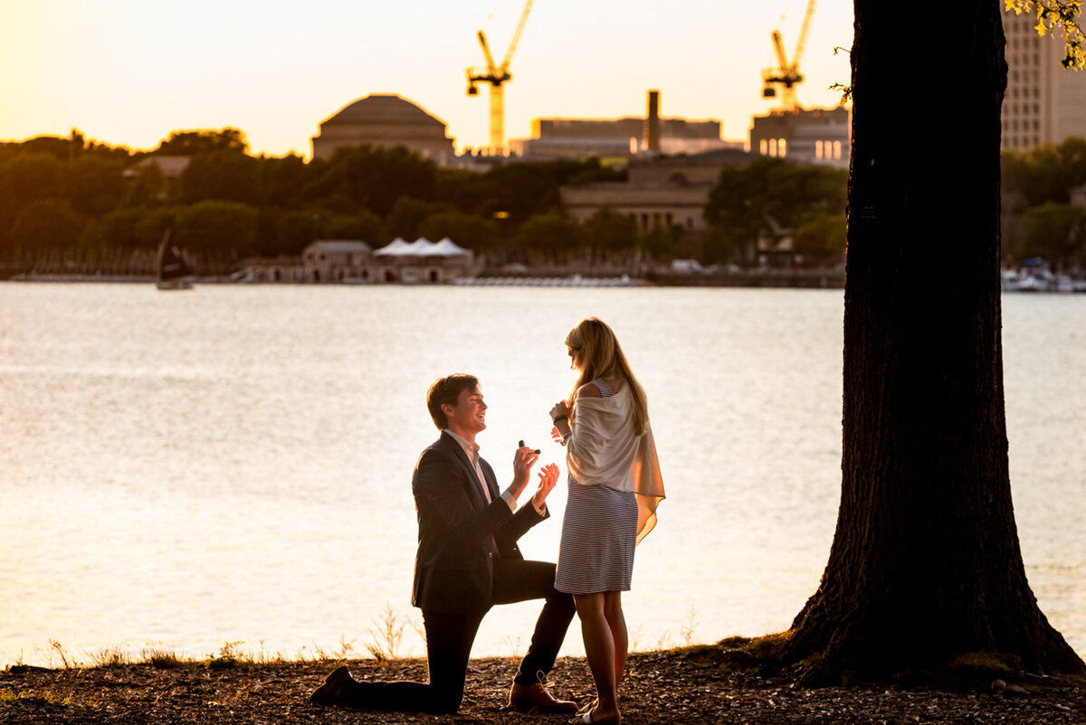 sunset proposal on the Charles River in Boston