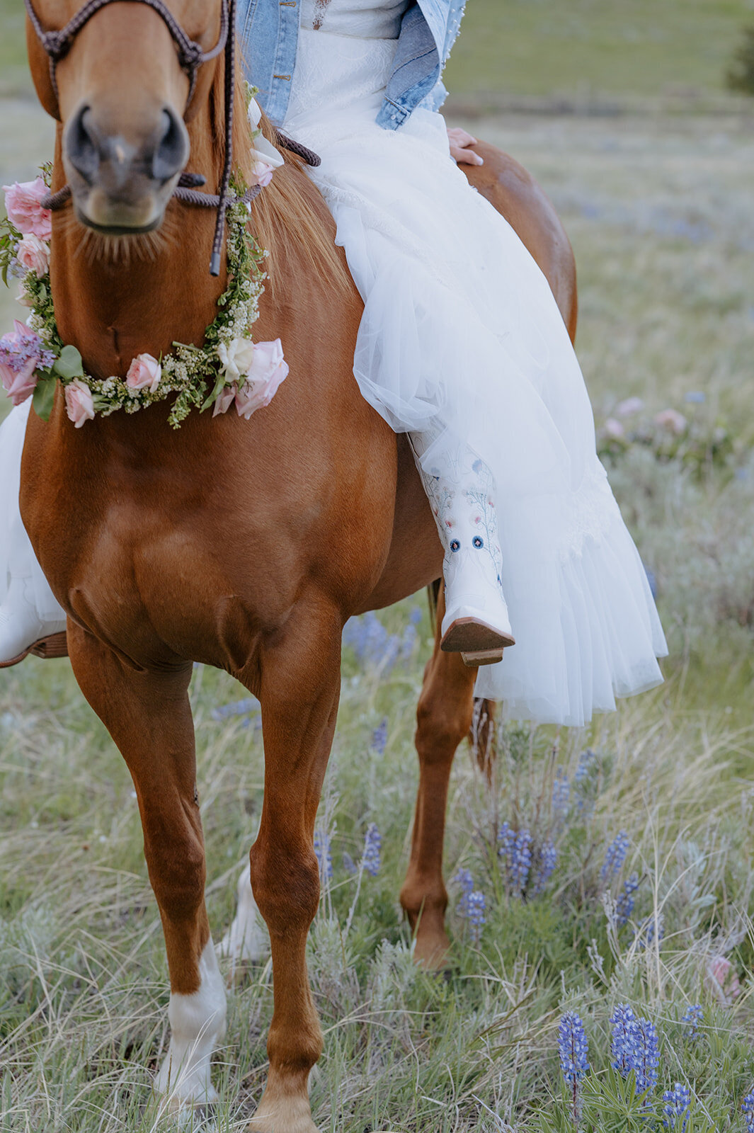 Carly-Patrick-Sheridan-Wyoming-Elopement-334