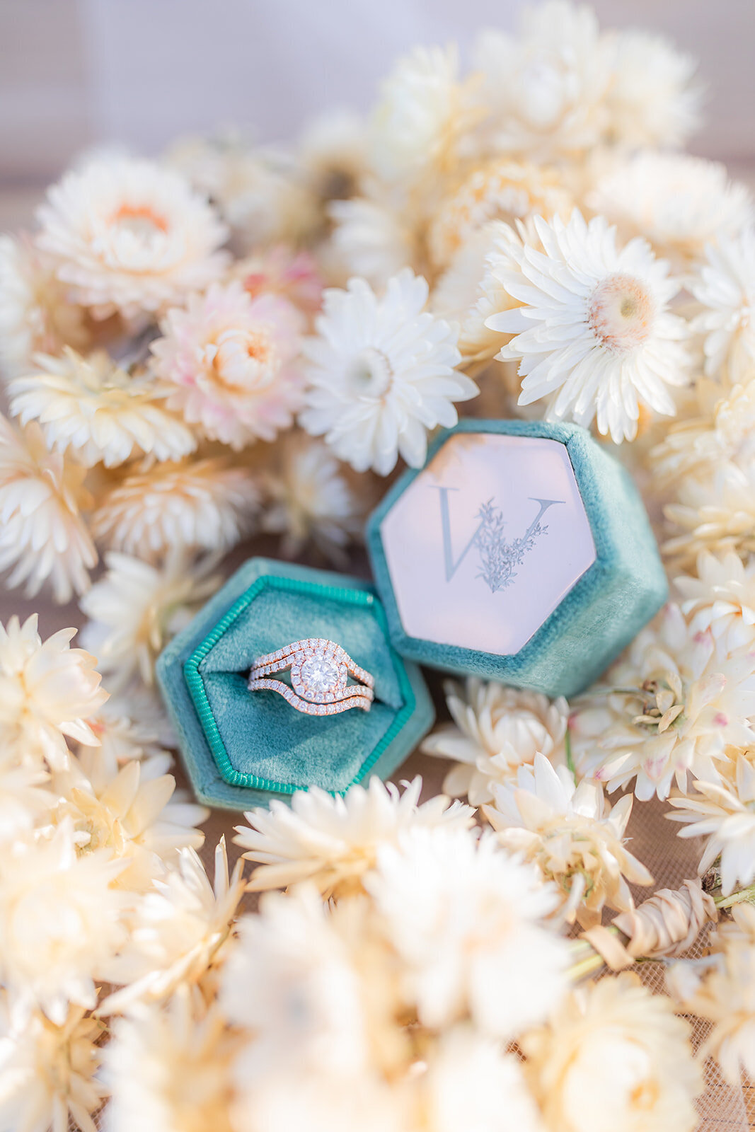 teasecolie-7245_websize