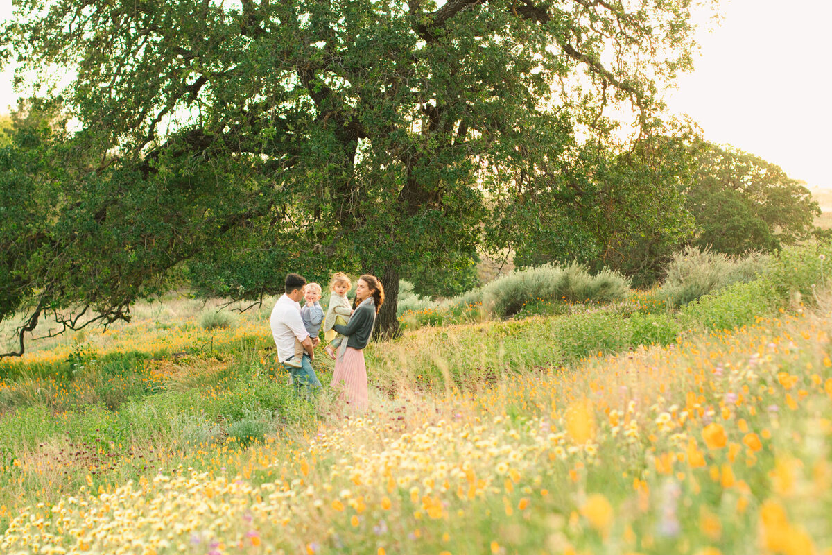 WalnutCreek_FamilySessionPhotography_ValarieDuranPhotography-1341