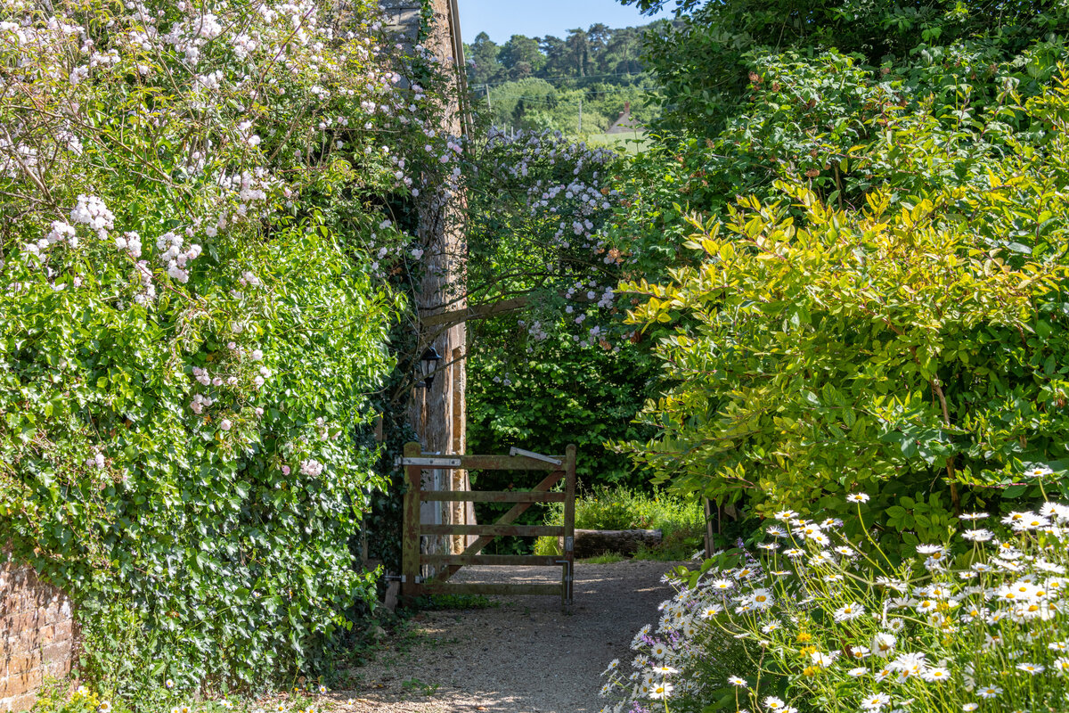 DSC_7719-HDR
