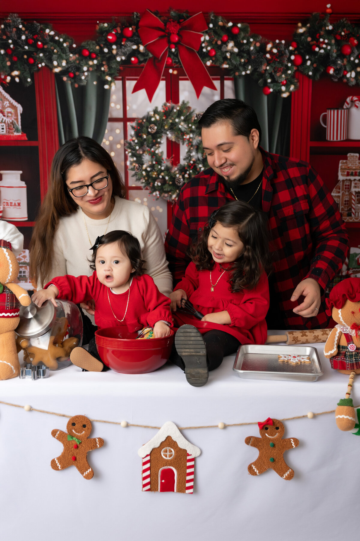 Chicago-Family-Photographer-11