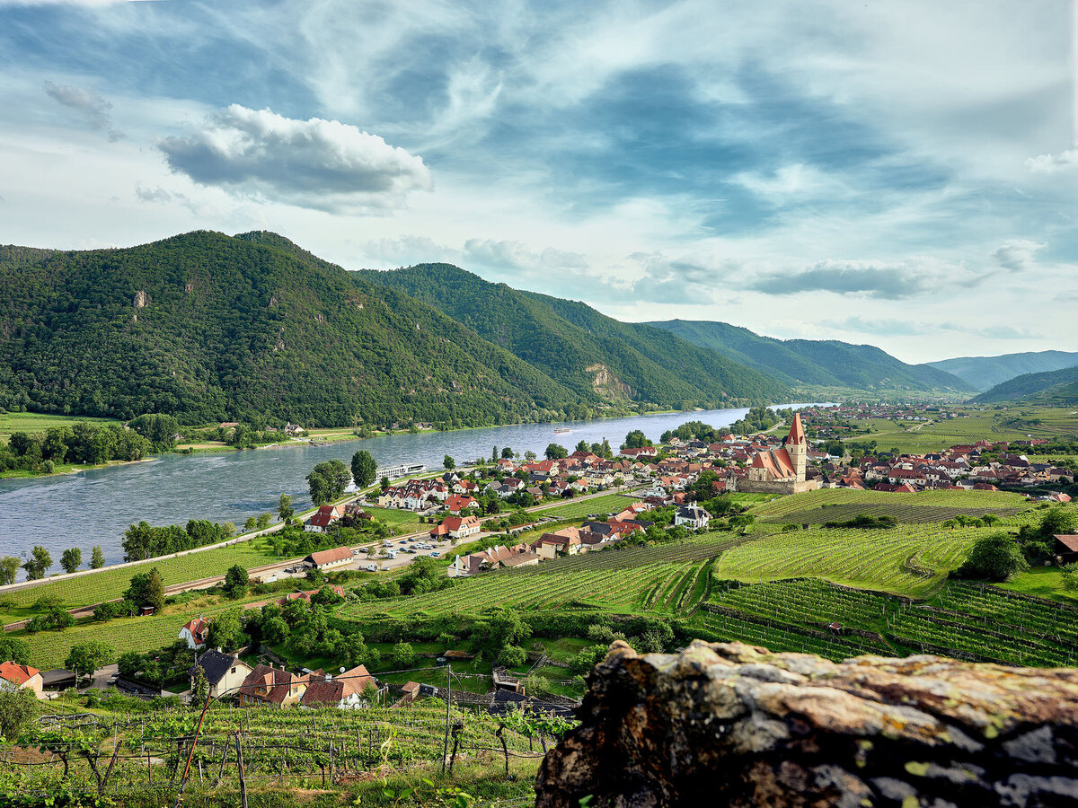 Frühlingserwachen in Weißenkirchen in der Wachau – lebendige Grüntöne über den Weinterrassen, fotografiert vom Fotograf Atelier Schulte – professionelle Landschaftsfotografie in Niederösterreich.
