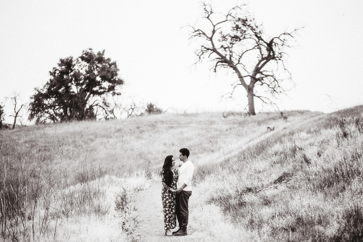 Engagement Photograph Of  Man And Woman Hugging Each Other In The Middle Of Meadow Los Angeles