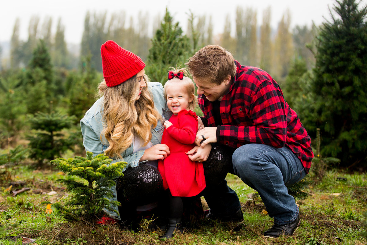 mcmurtreys tree farm christmas family photography emma lee photography