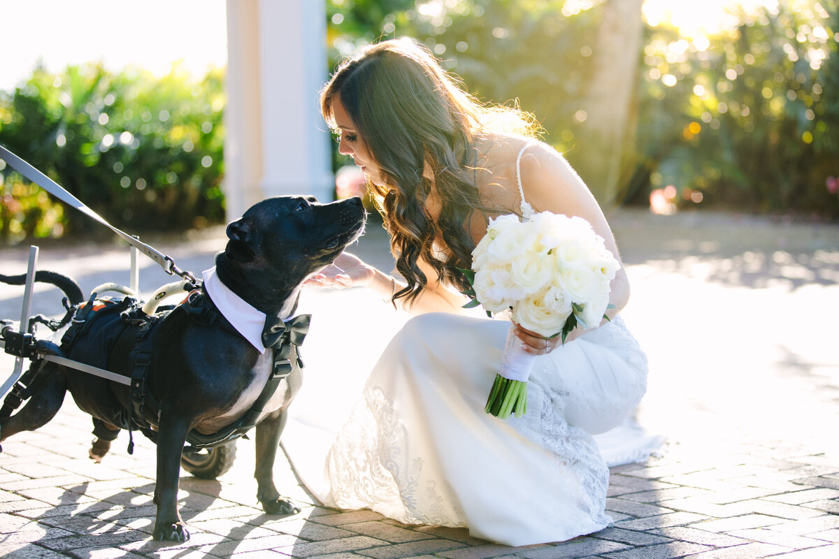 Mansfield Breakers West Wedding Photographer-4825