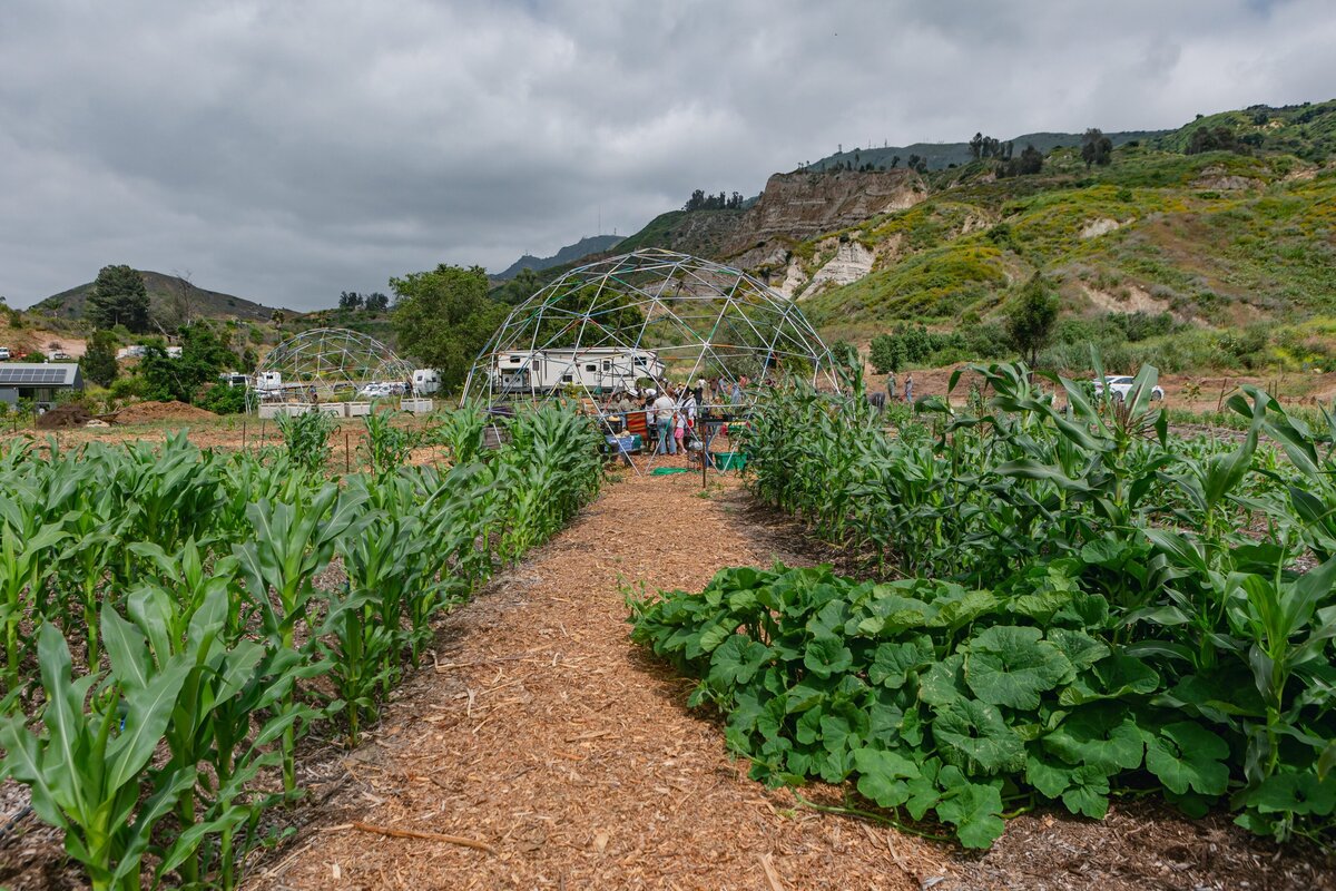 The-Ripe-Org-Farm-Ventura-California-Santa-Paula-Non-Profit-0001