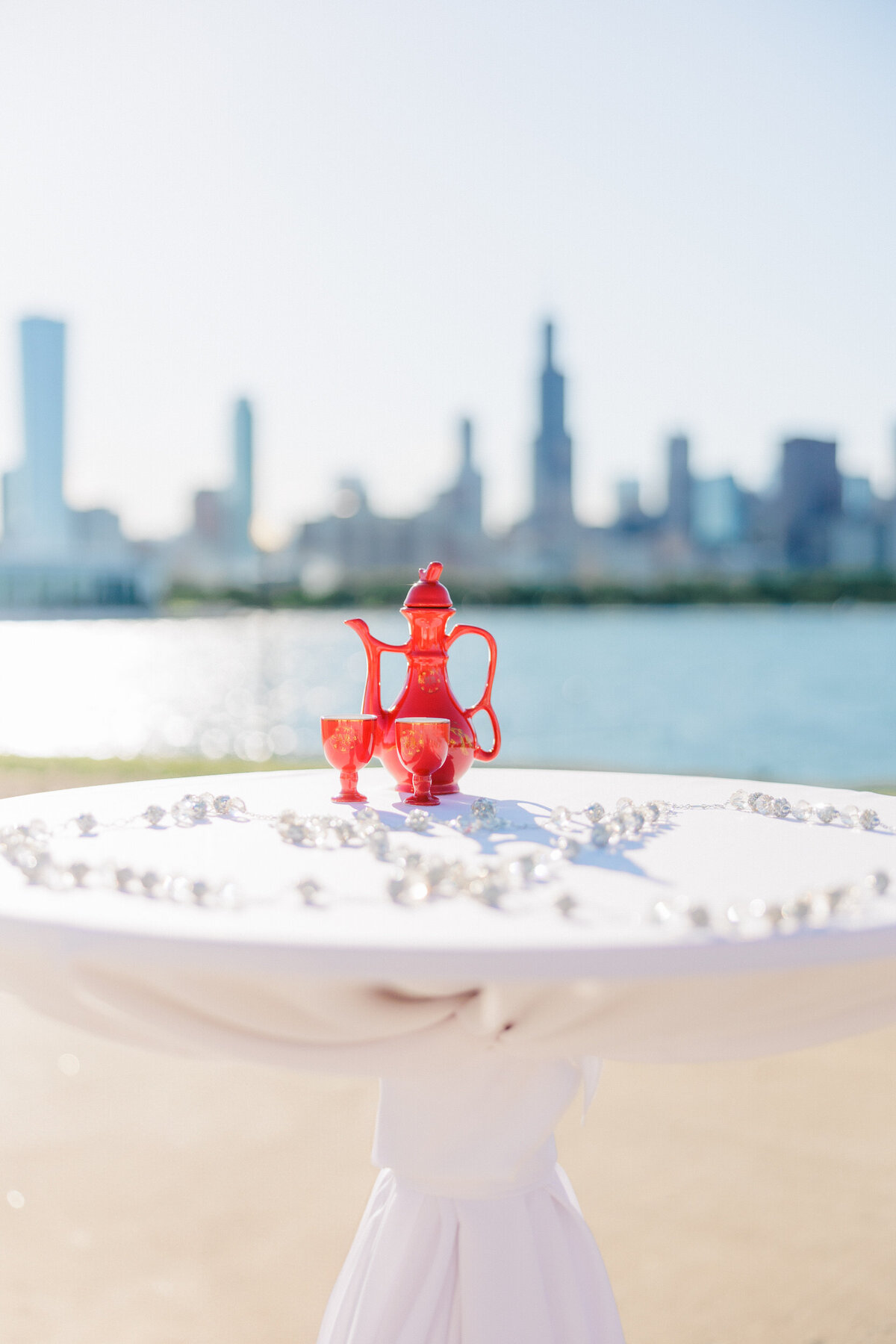 Lexi Benjamin Photography_Adler Planetarium Wedding_05.25.24-167