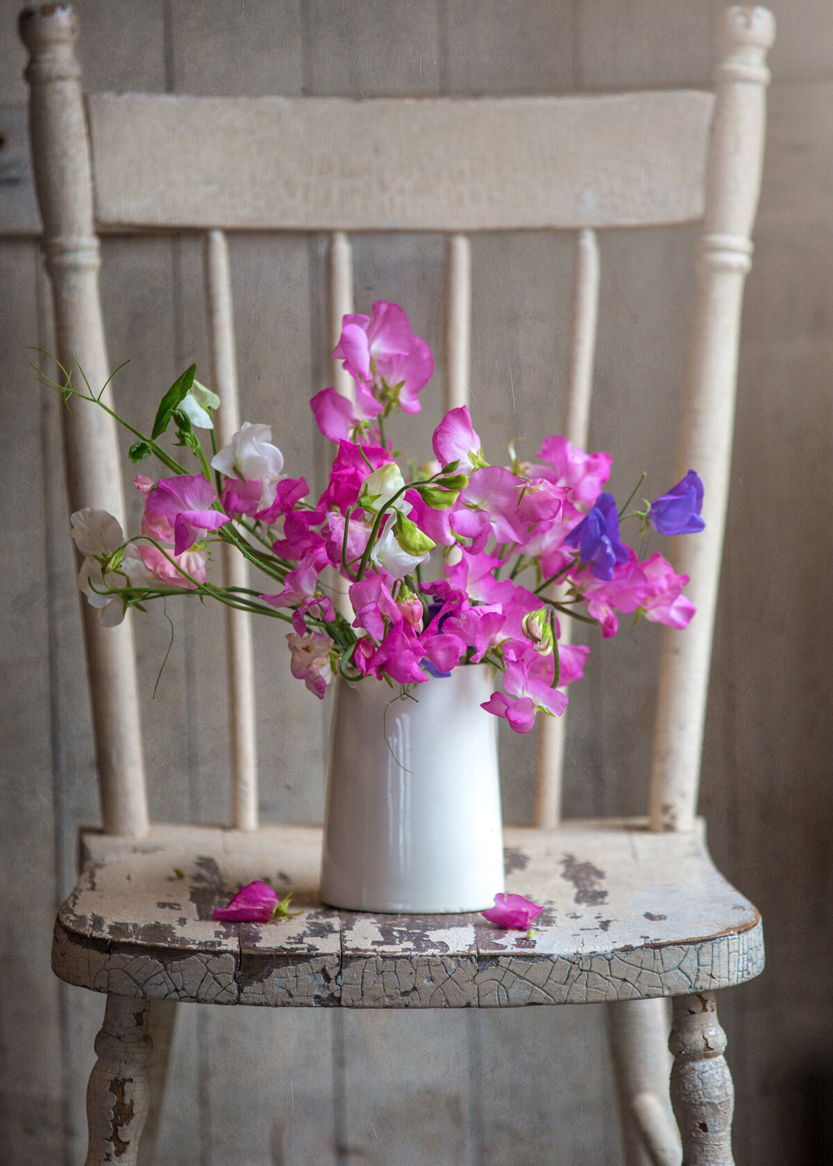 483623916-flowers-sweet-peas-geraniums-3933-edit