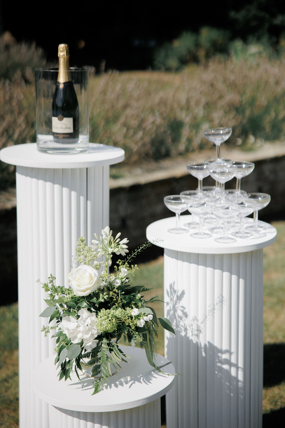 Shane & Taylor_Reception-75