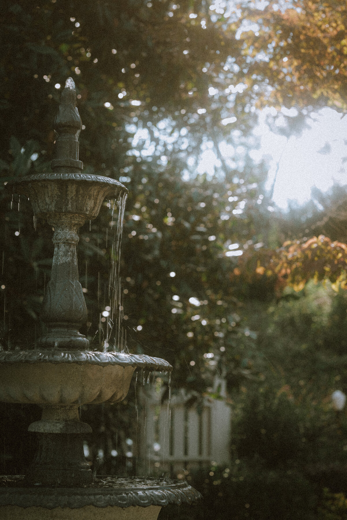 DSC_1076
