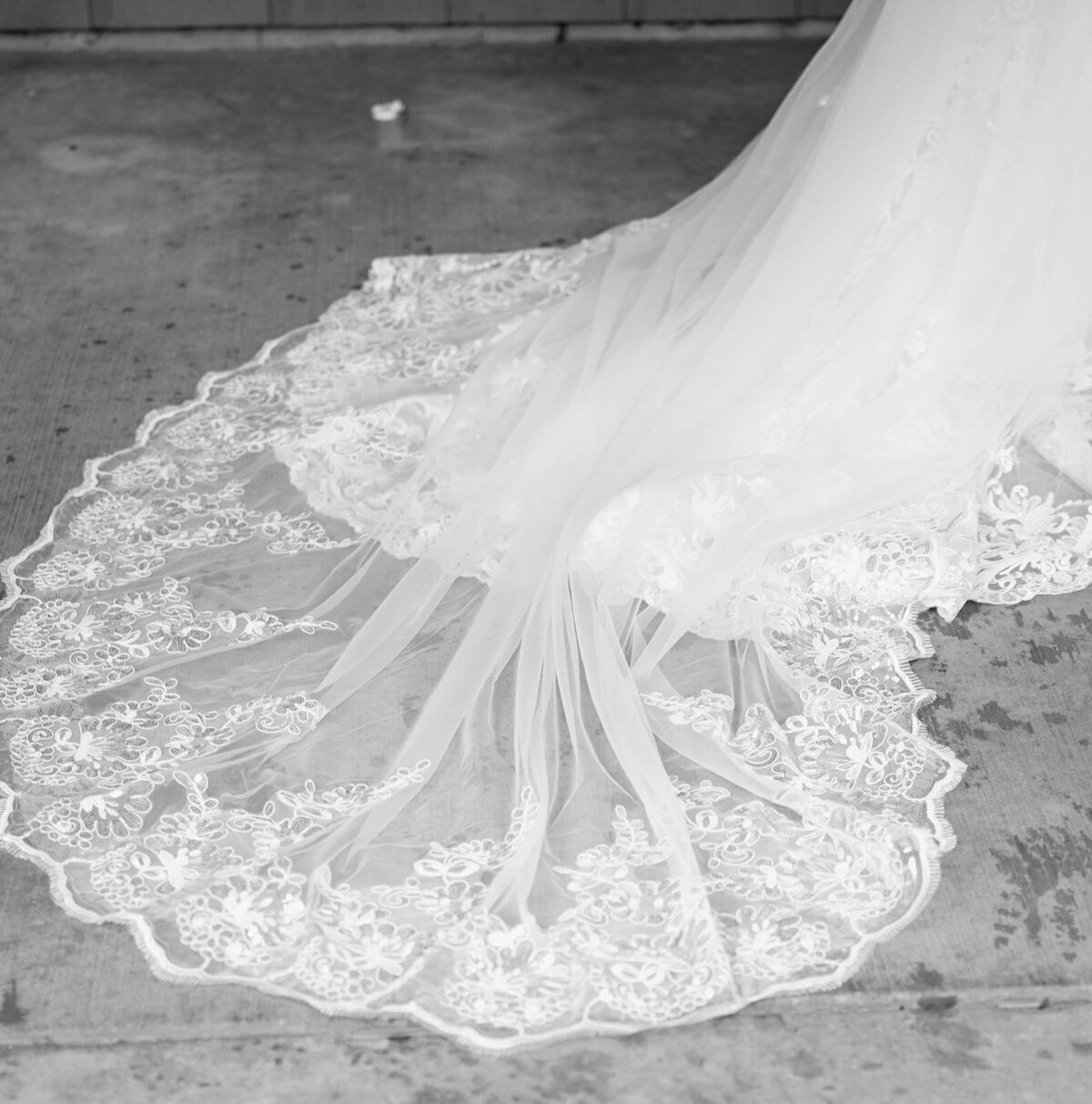 curiouscourtneysphotography102