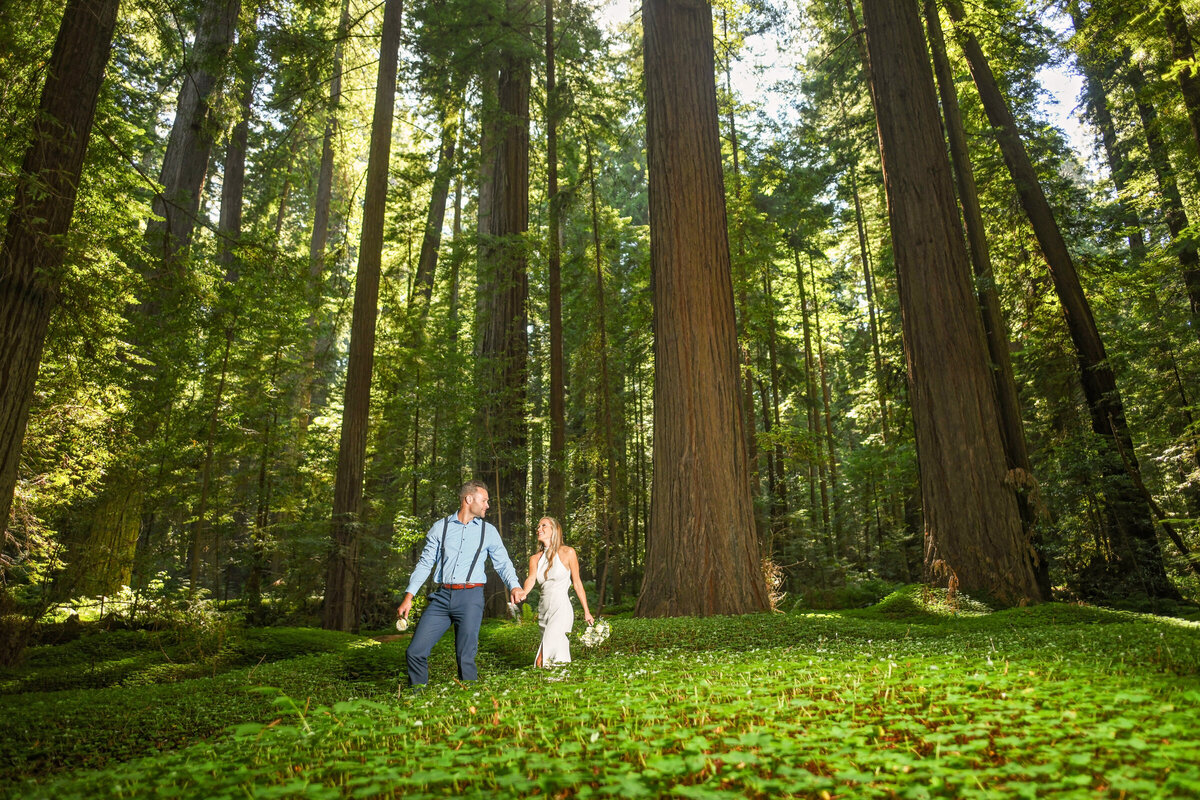 Humboldt-County-Elopement-Photographer-Redwoods-Avenue-of-the-Giants-Humboldt-Redwoods-Redwood-National-Park-Parky's-Pics-Coastal-Redwoods-Elopements-36