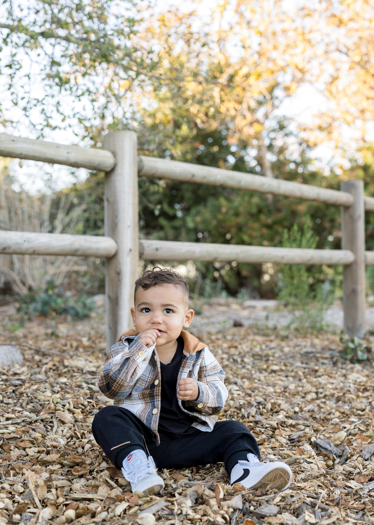 little boy playing in the leaves in the fall