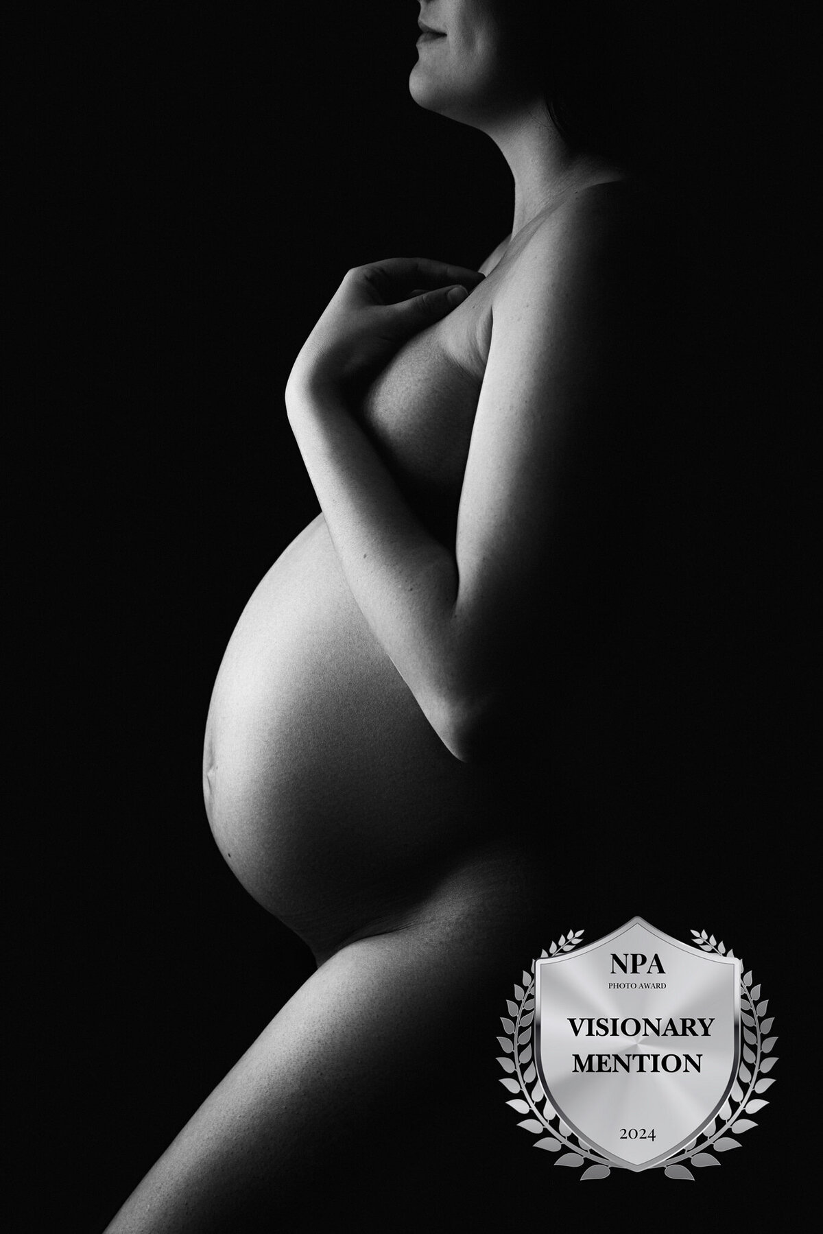 pregnant woman silhouette in petoskey 