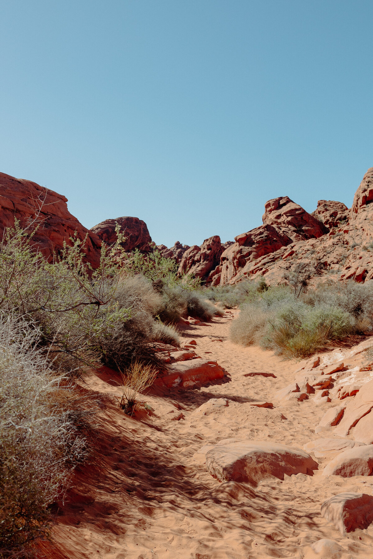 Valley of Fire-2