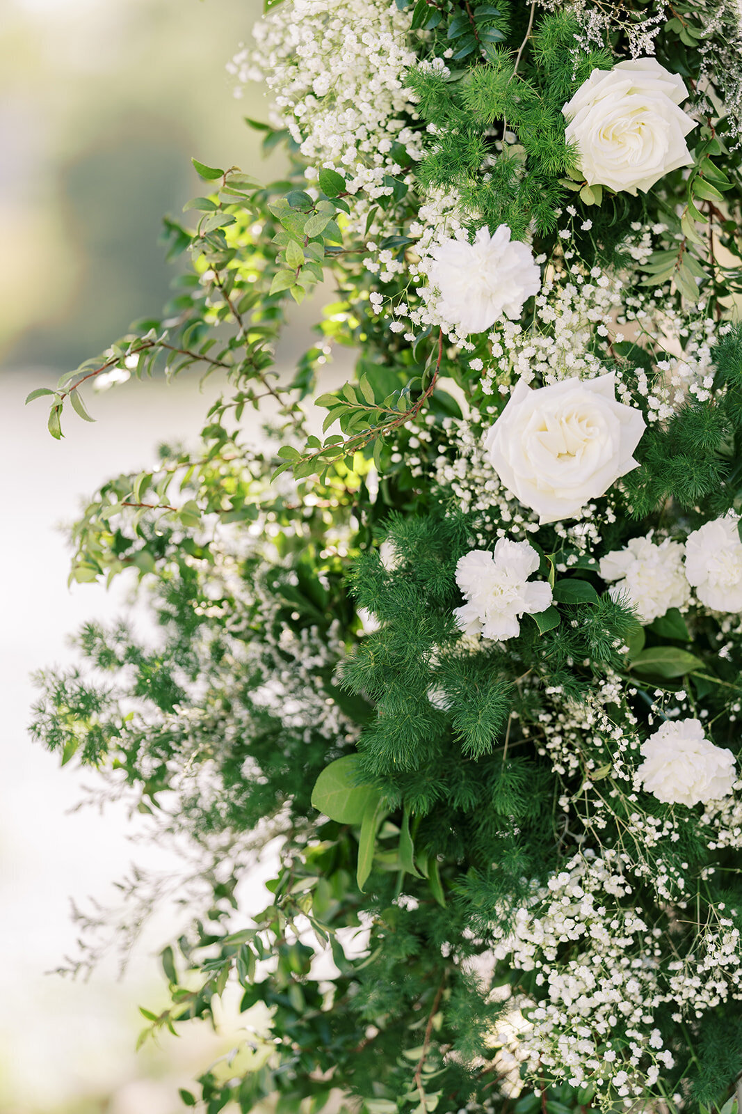 white and green textures of lfowers