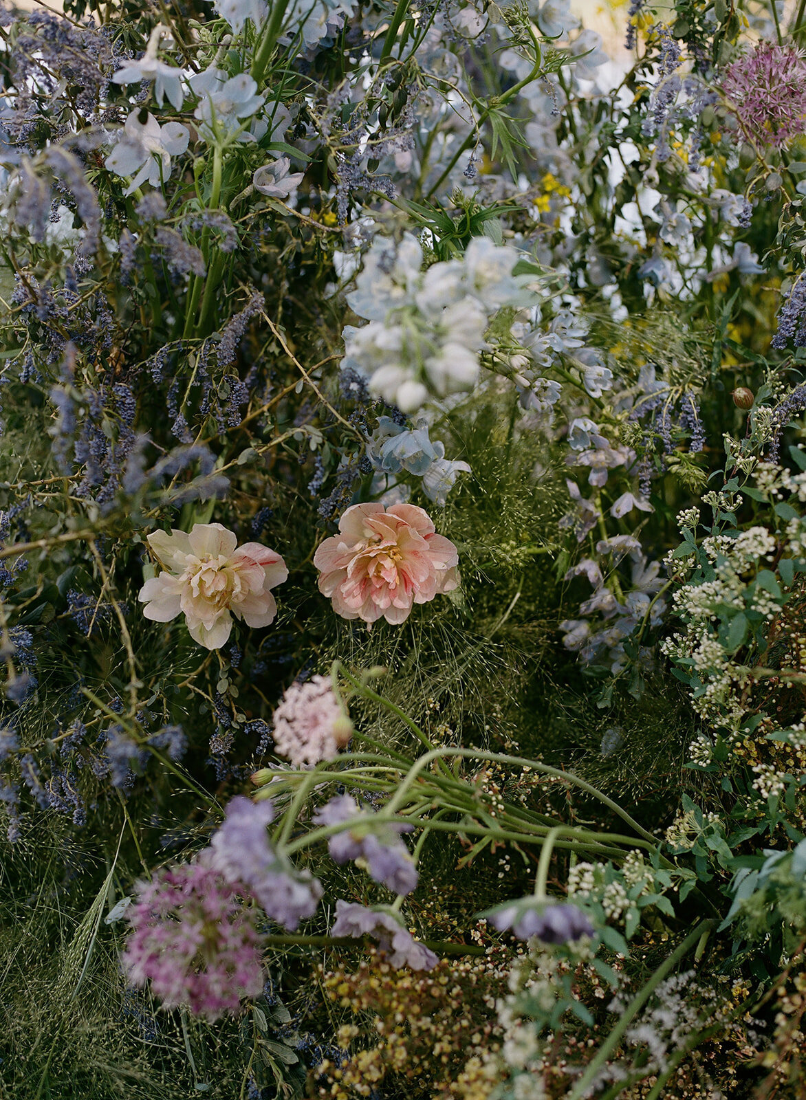 AbigailLewisPhoto.B+P.09-26
