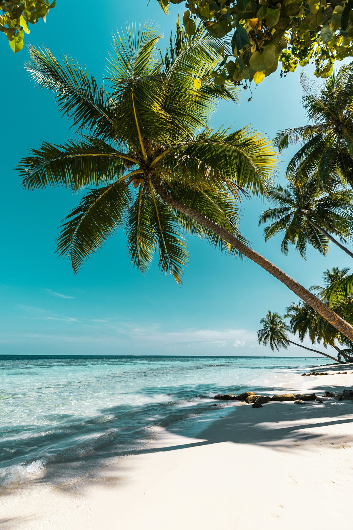 simon-spring-3ws2fq3VtXk-unsplash