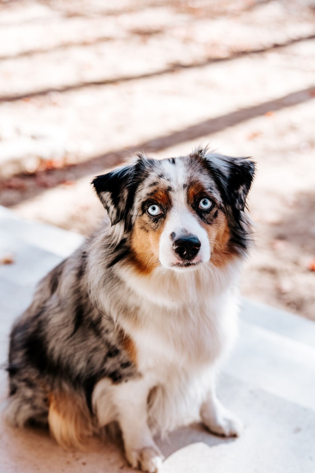 7-web-or-mls-HENRY-8