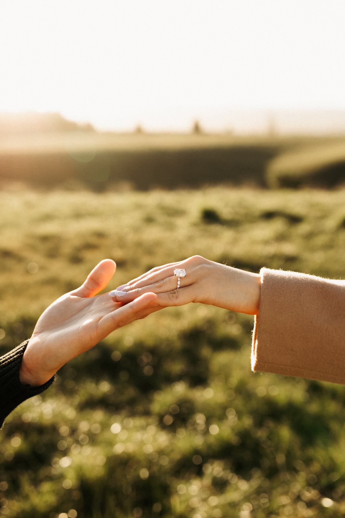 Christchurch proposal photographer