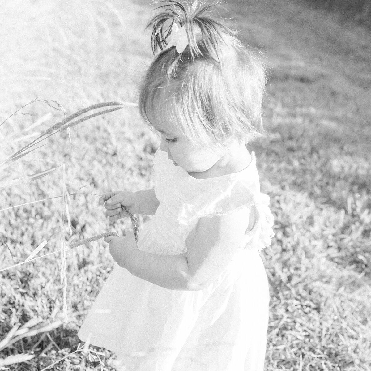 Connecticut Lifestyle Photographer