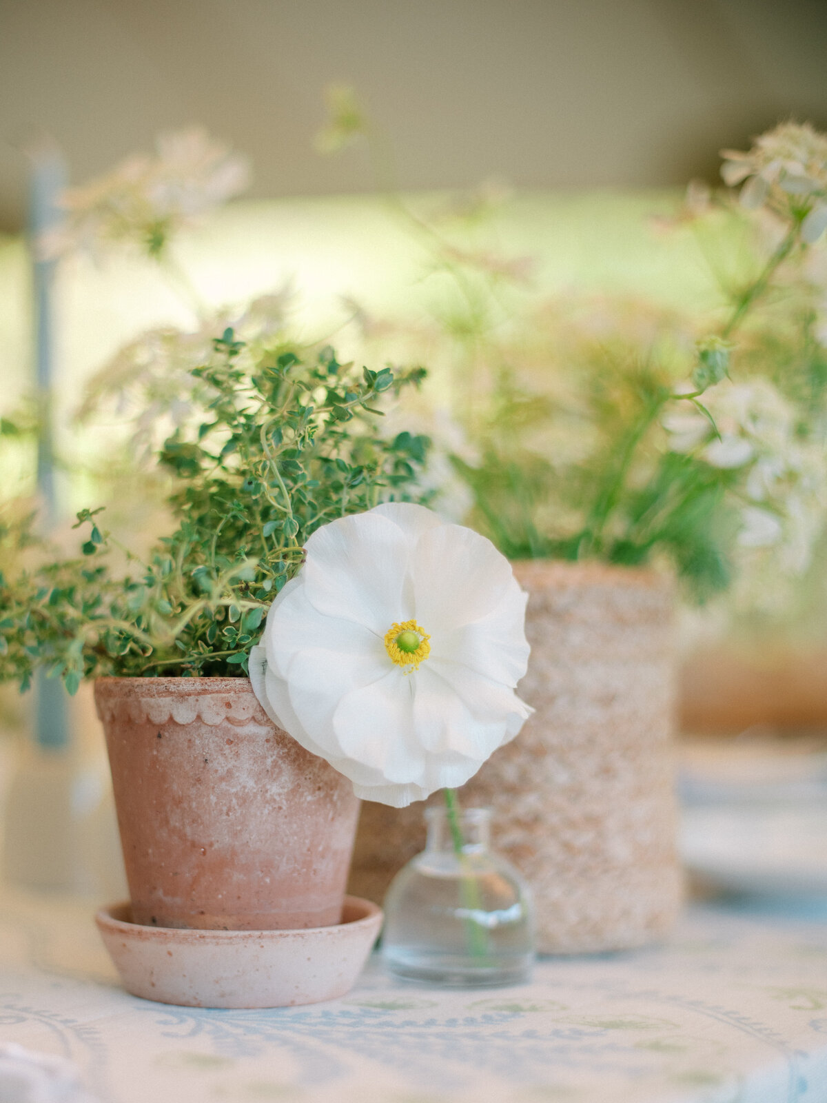 MarthasVineyardWedding - KEP©-95335