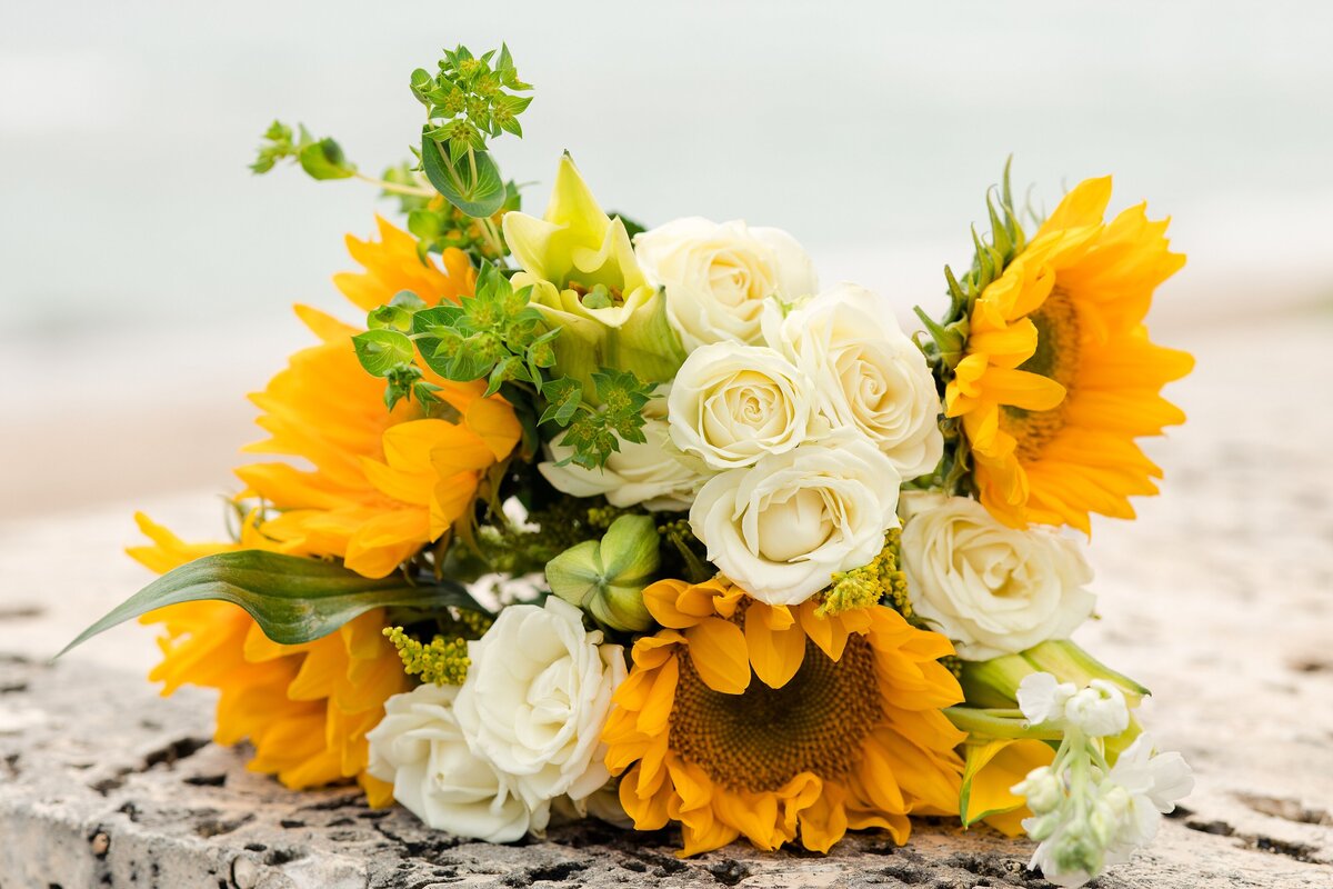 Central Florida Wedding and Engagement Photographer_0329