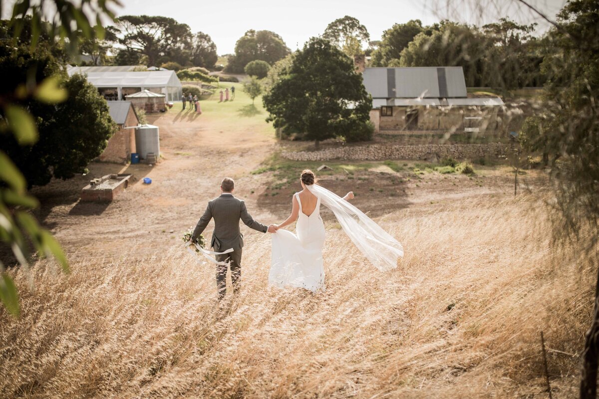 S&T-Paxton-Wines-Rexvil-Photography-Adelaide-Wedding-Photographer-201