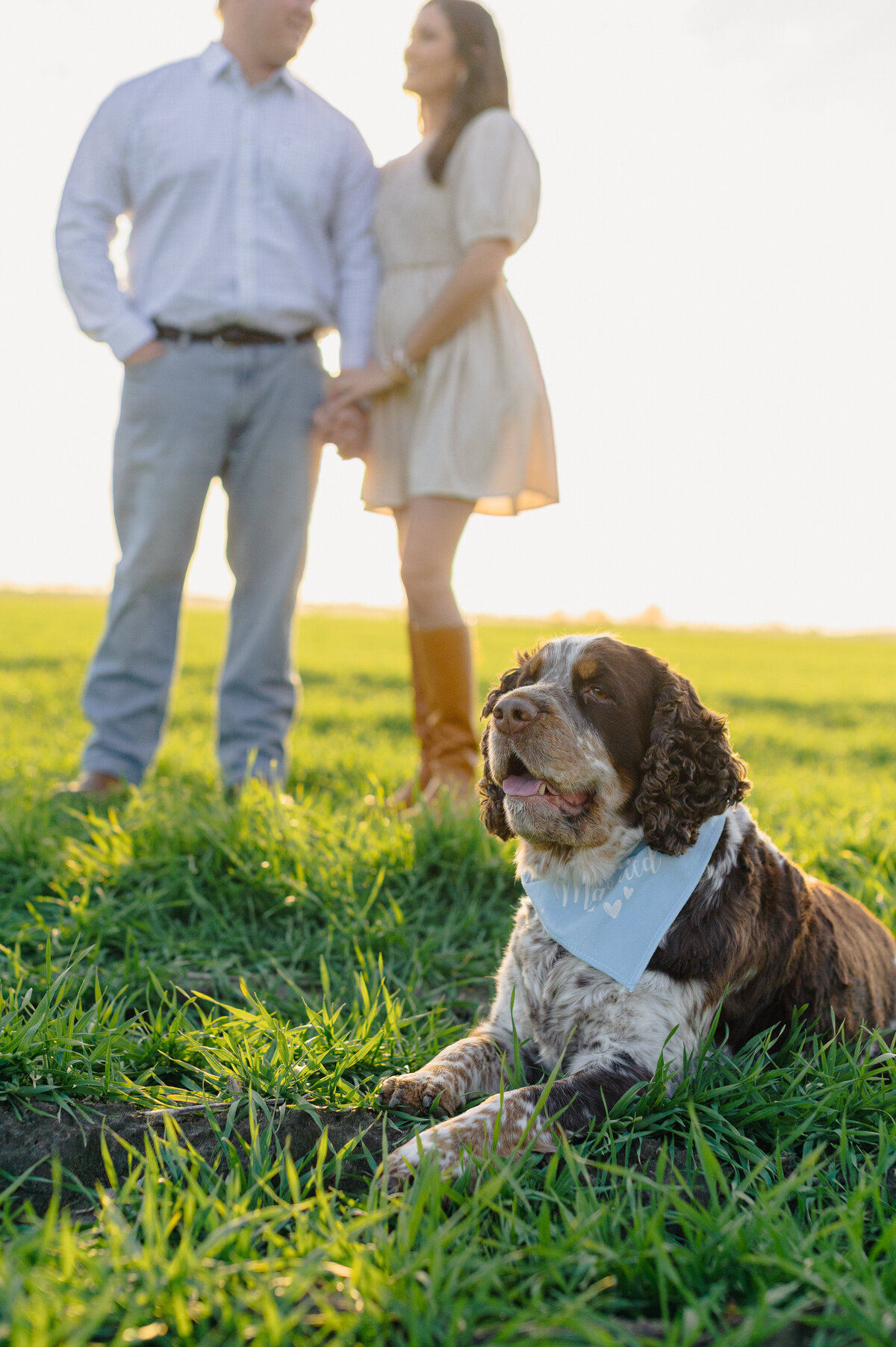 Allison Eady Photography - Molly & Kody-2