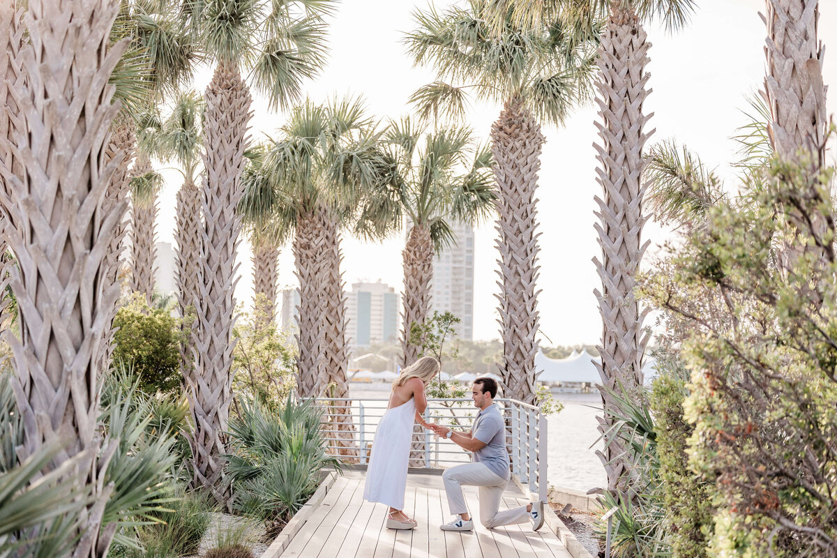 AptBPhoto_JackMeg_St_Pete_Proposal_Photos-2