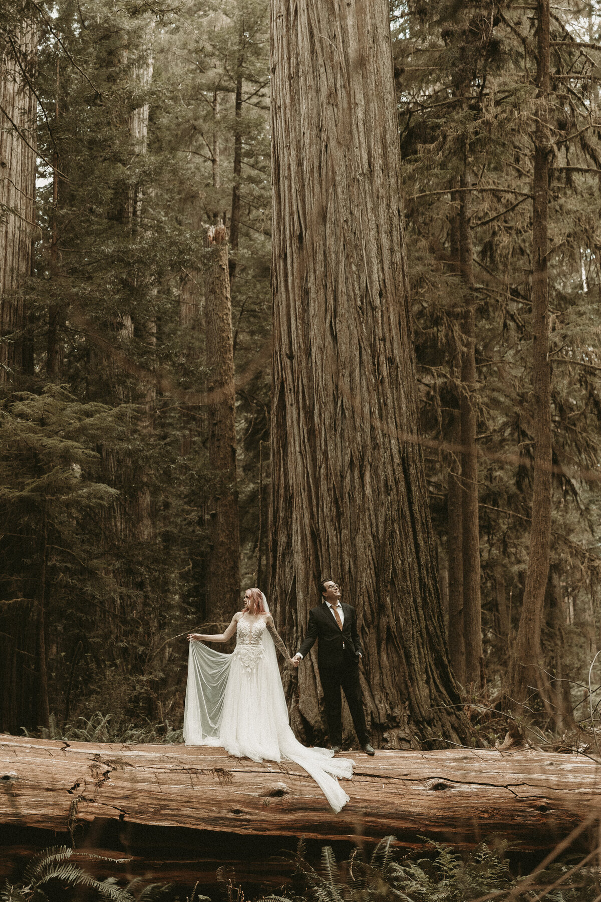 AbbyReePhotography-RedwoodsElopement-5