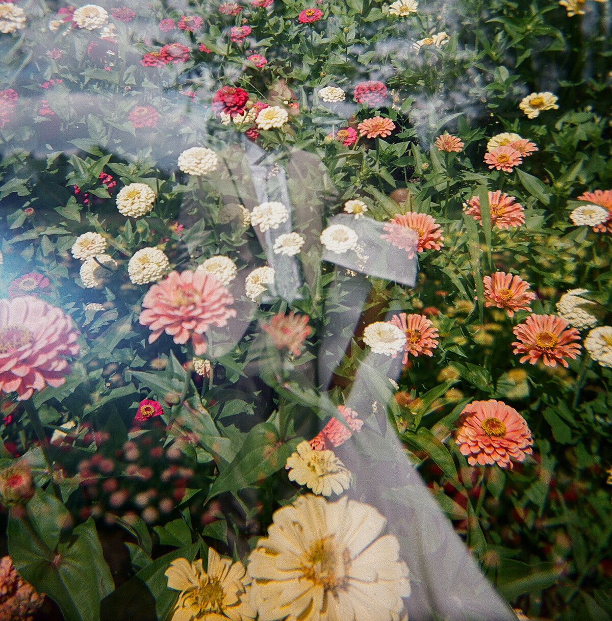 Brailyn+Brockfilm-11
