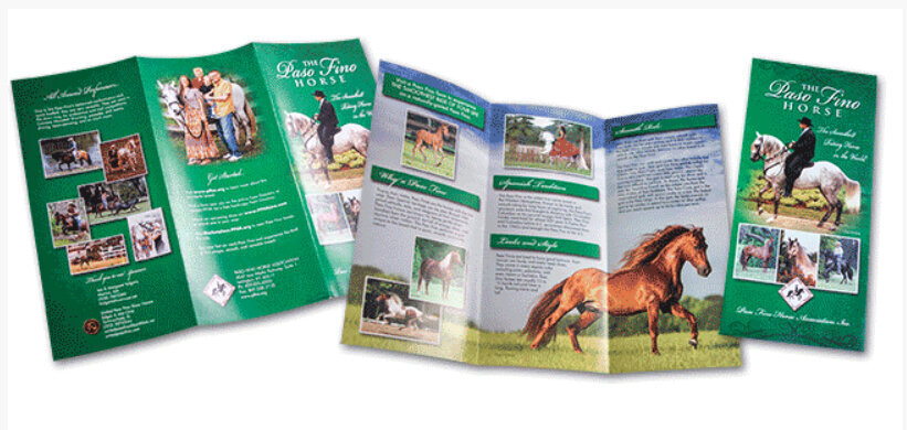 horse brochure ad design