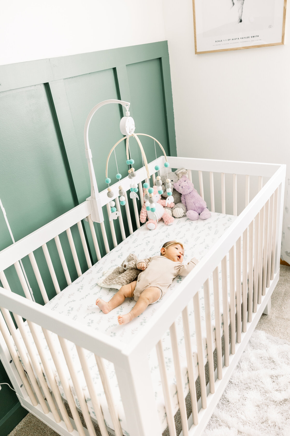 Jennifer Kamen Photography Minneapolis St. Paul Minnesota Tampa Florida Destination Wedding Engagement Lifestyle Newborn Family Photographer minneapolisnewbornphotographer