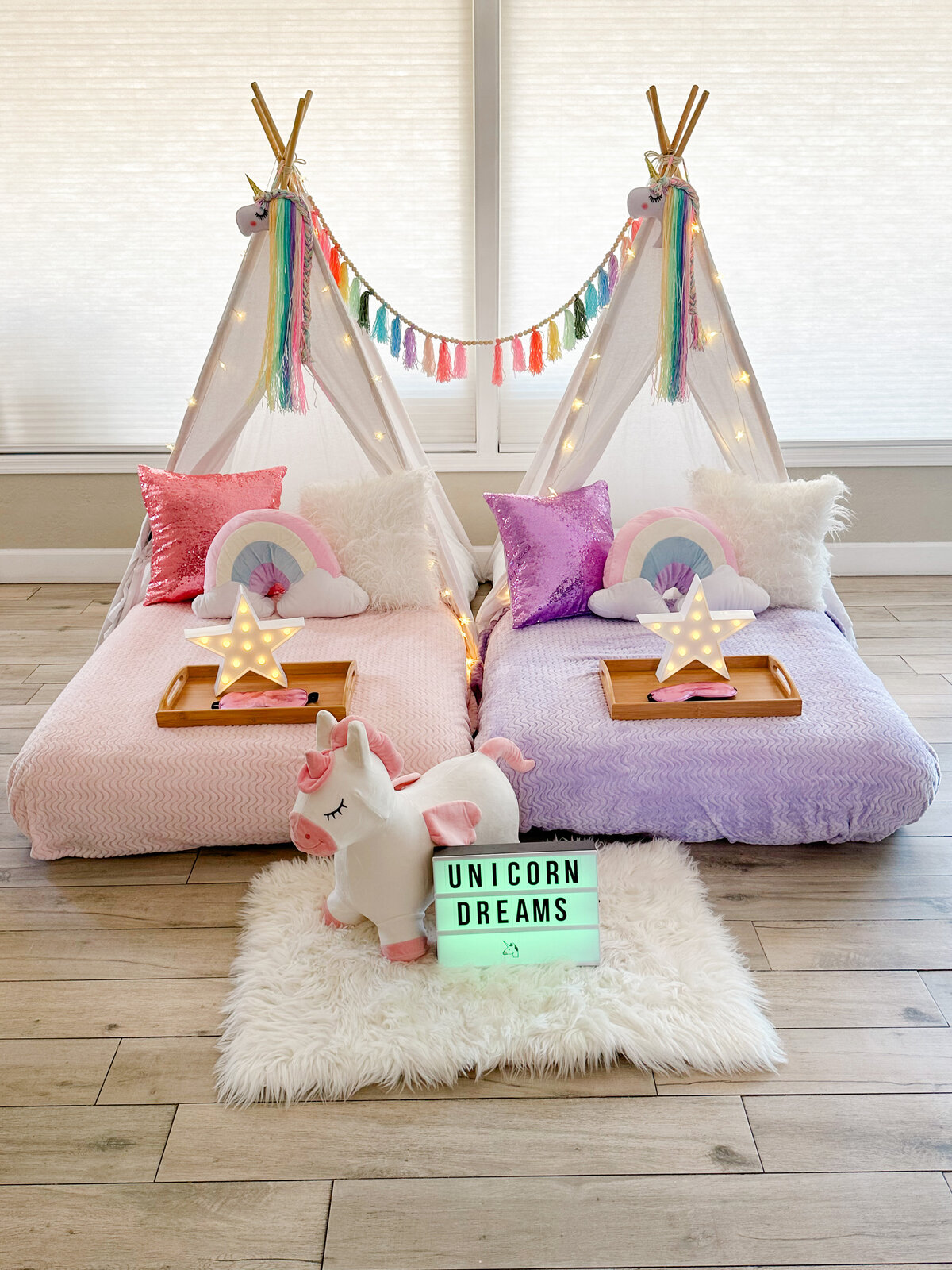 Unicorn Sleepover PartyJPG