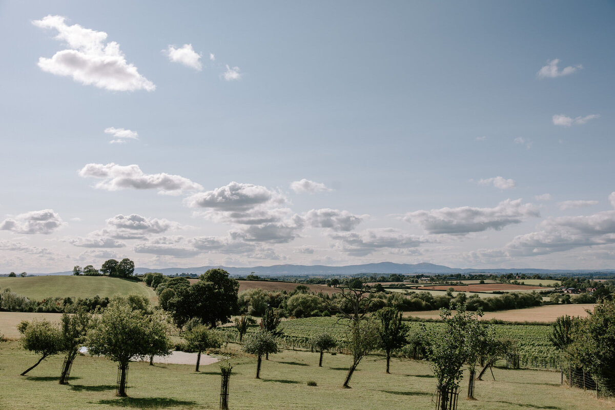 Worcestershire wedding photographer_Katie and Dan - Deer Park Hall - DanTomkins Photography-0444-1