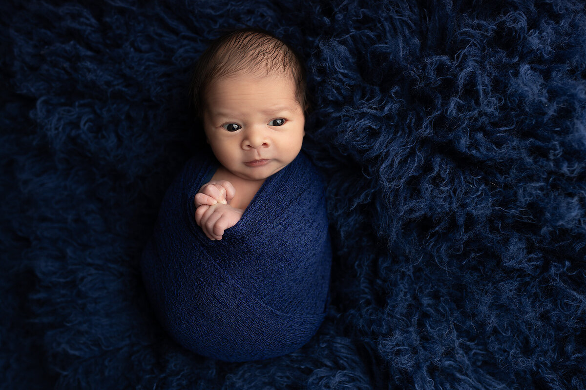 Baby swaddled in deep navy wrap, eyes wide open, posing for Dallas baby photographer.