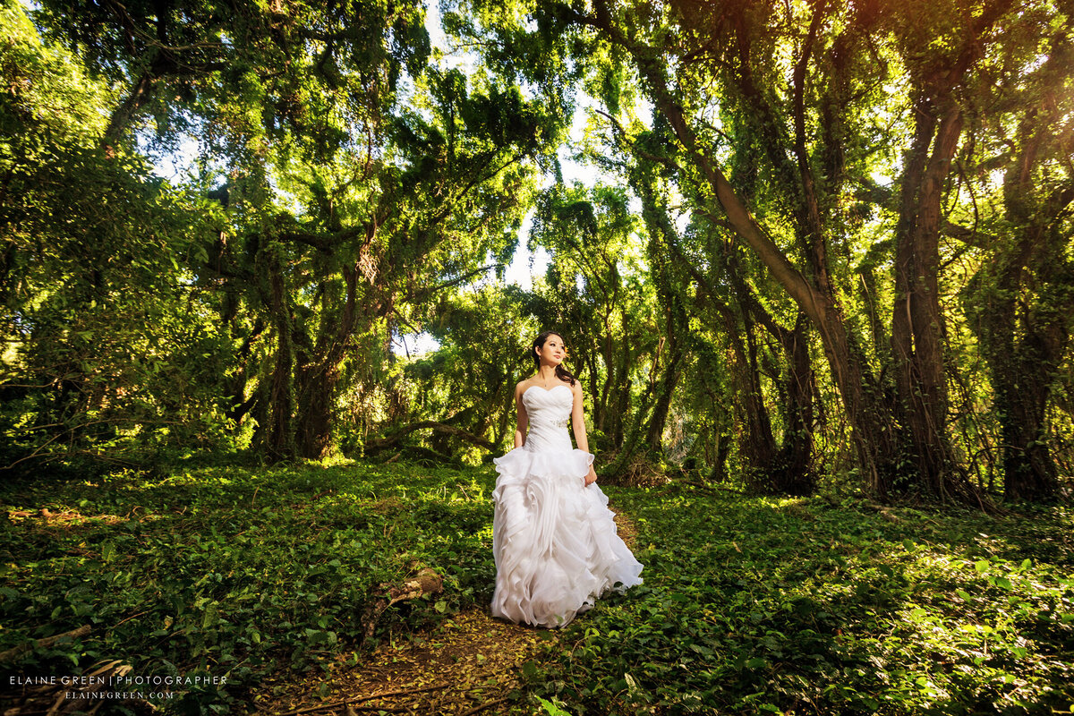Misaki-Honolua-Mokuleia-Bay-Kapalua-Maui