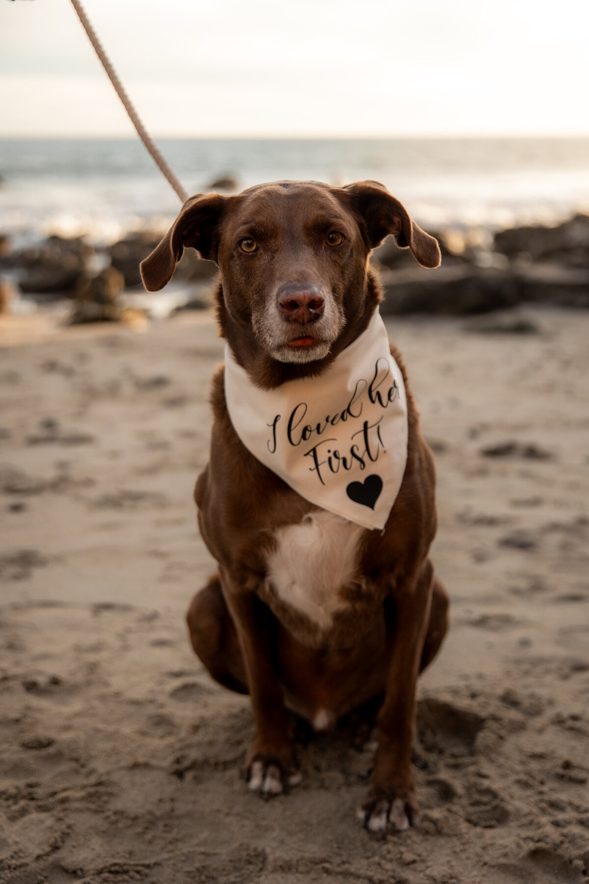 TrevorMorrisonPhoto_0012