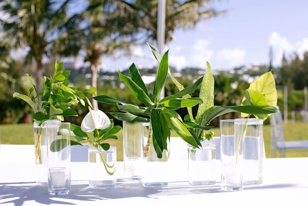 Riddles-Bay-Golf -Course-Wedding-Bermuda-Dasfete-31