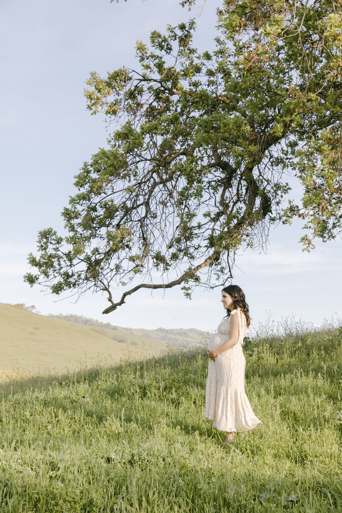 PERRUCCIPHOTO_SPRING_OPEN_FIELD_WILD_FLOWER_MATERNITY_8