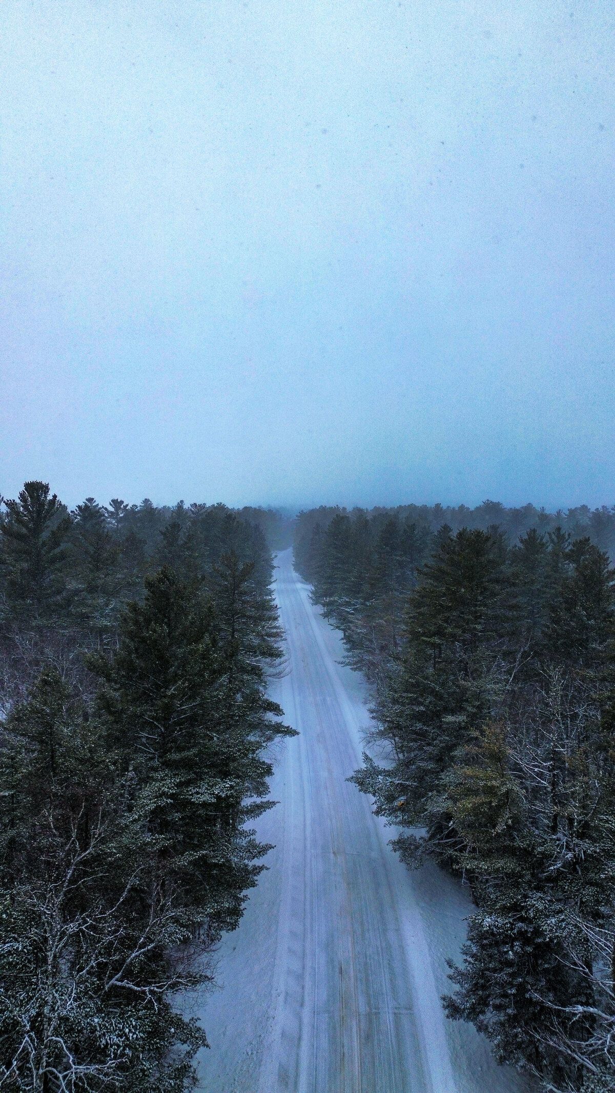 dji_fly_20250124_053242_742_1737915512273_photo_optimized