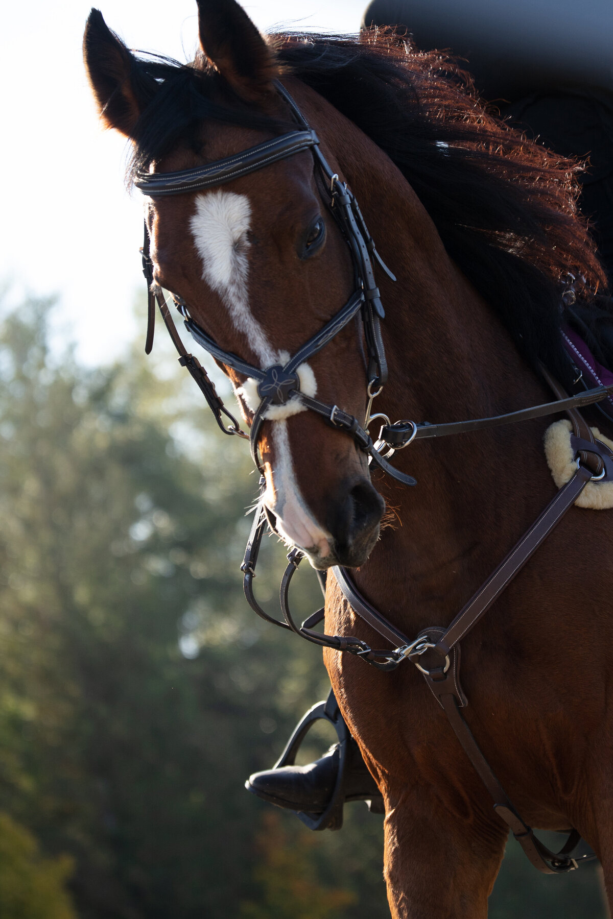 040A4825 copy 2