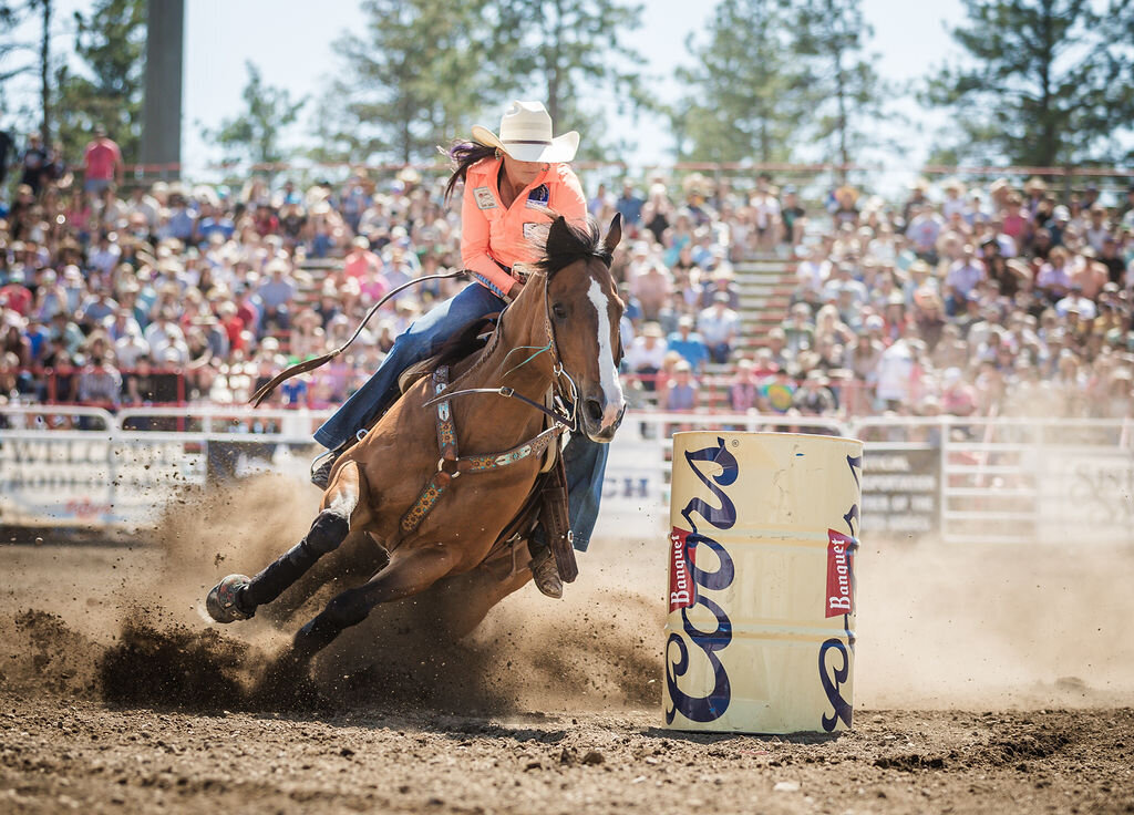 20240609_kya-photography-equestrian-photographer_0010