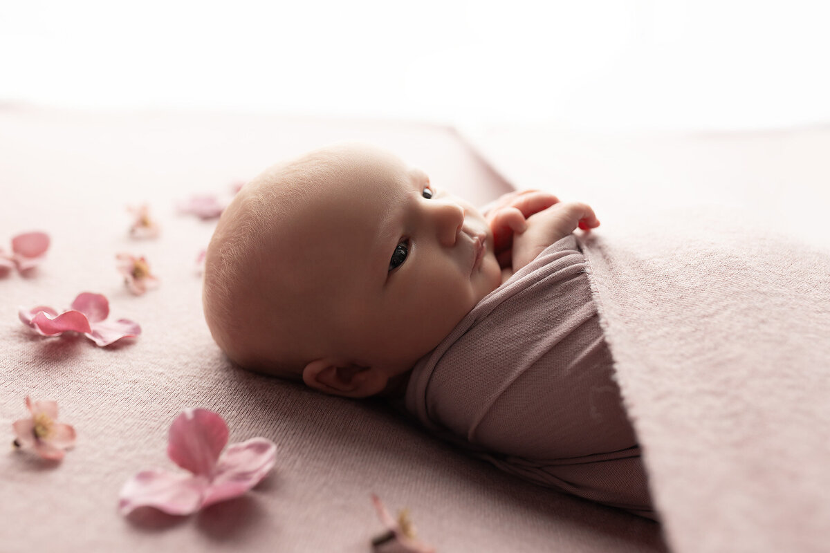 Close-up of a newborn baby girl wrapped in soft pink fabric with flower petals, captured by Dallas Newborn Photographer specializing in newborn photography studio portraits.
