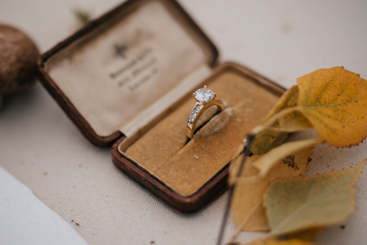 wedding-photographer-vancouver-canada-00205